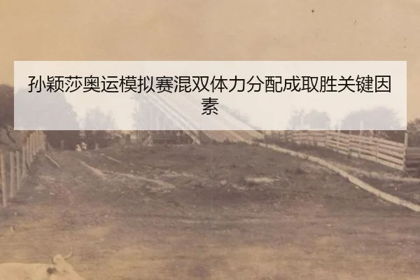 sun-ying-sha-ao-yun-mo-ni-sai-hun-shuang-ti-li-fen-pei-cheng-qu-sheng-guan-jian-yin-su-2-210.jpg